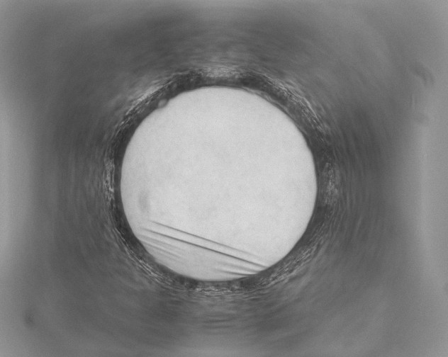 X0000115541301200912041002