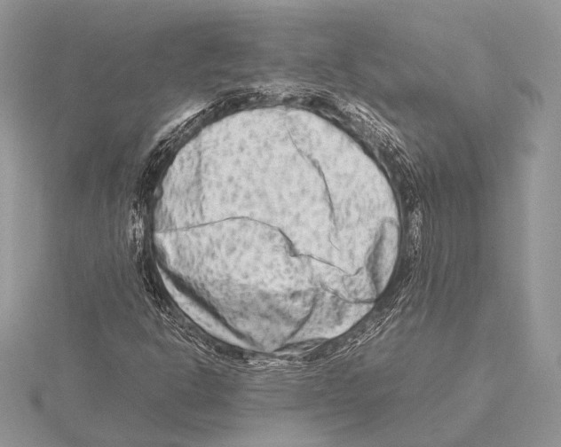 X0000115541302200912041002