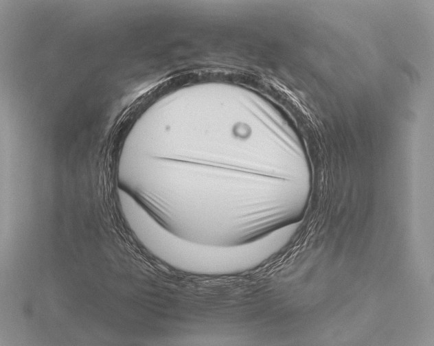 X0000115541303200912041002