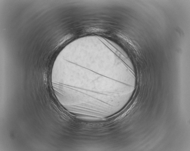 X0000115541305200912041002