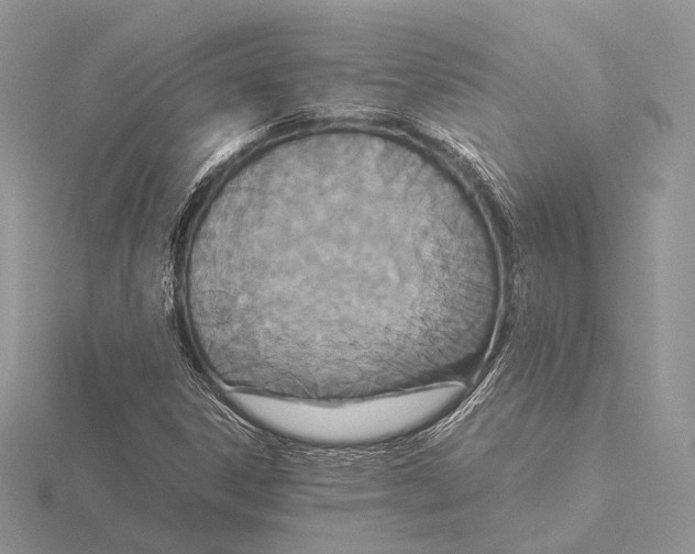 X0000115541306200912041002