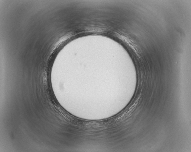 X0000115541307200912041002