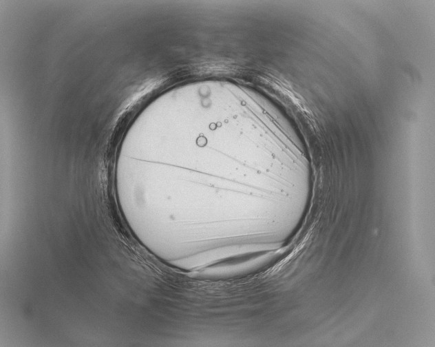 X0000115541309200912041002