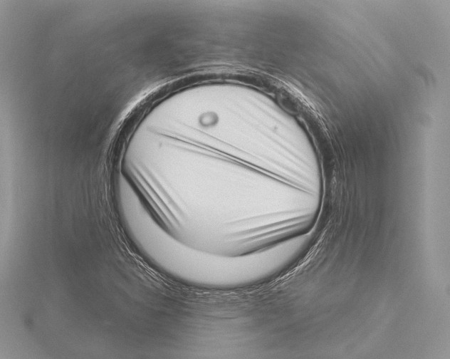 X0000115541310200912041002