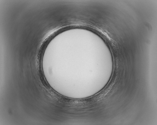 X0000115541311200912041002