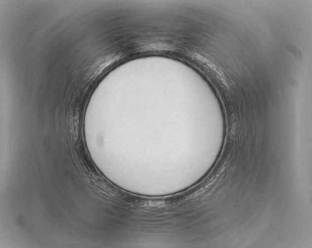 X0000115541313200912041002