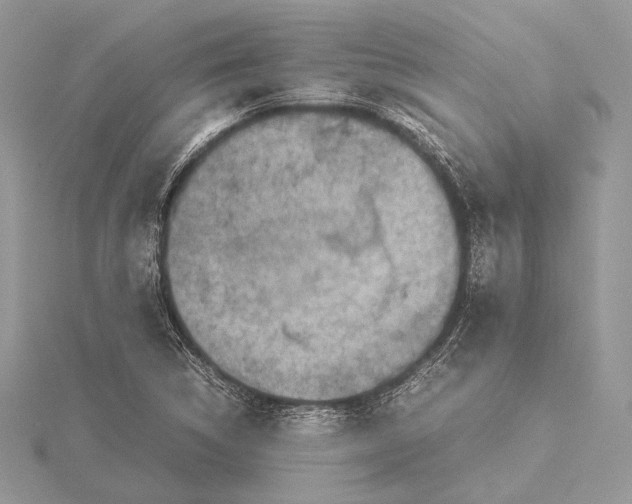 X0000115541314200912041002