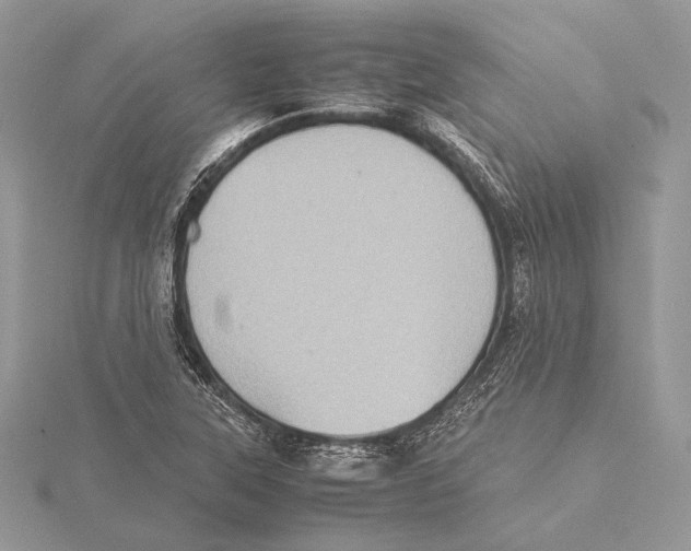 X0000115541315200912041002