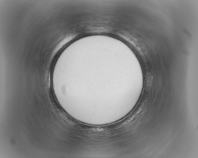 X0000115541317200912041002