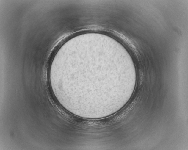 X0000115541318200912041002