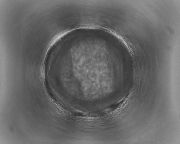 X0000115541319200912041002