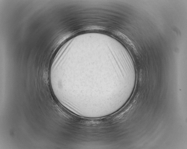 X0000115541321200912041002