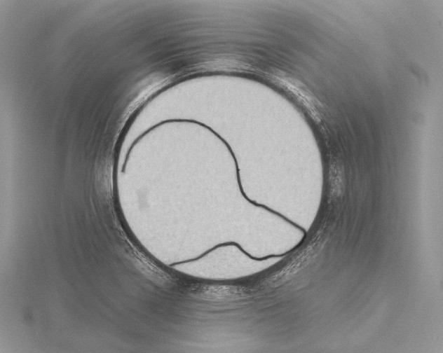 X0000115541322200912041002