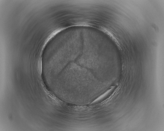 X0000115541323200912041002