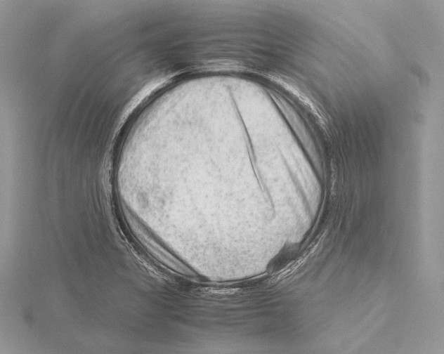 X0000115541325200912041002