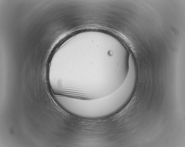 X0000115541326200912041002