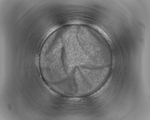 X0000115541329200912041002