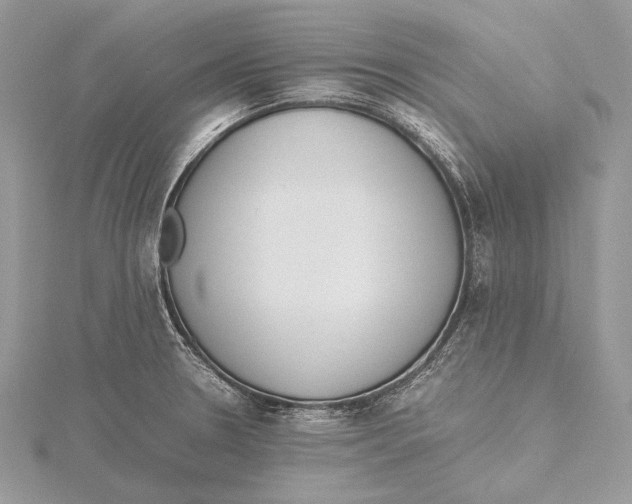 X0000115541330200912041003