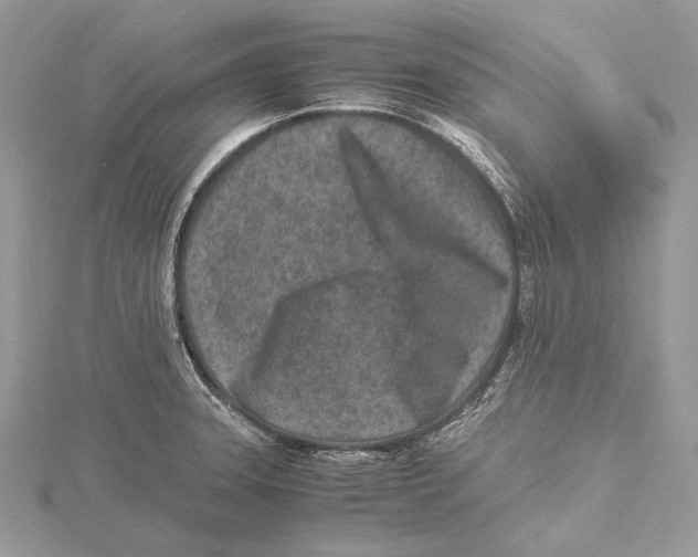 X0000115541331200912041003