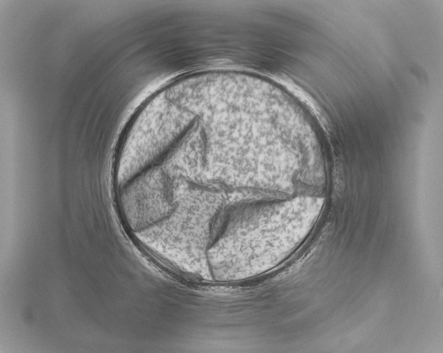 X0000115541333200912041003