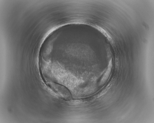 X0000115541334200912041003