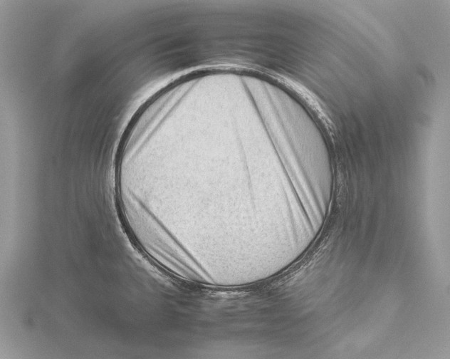 X0000115541335200912041003