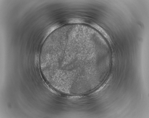 X0000115541337200912041003