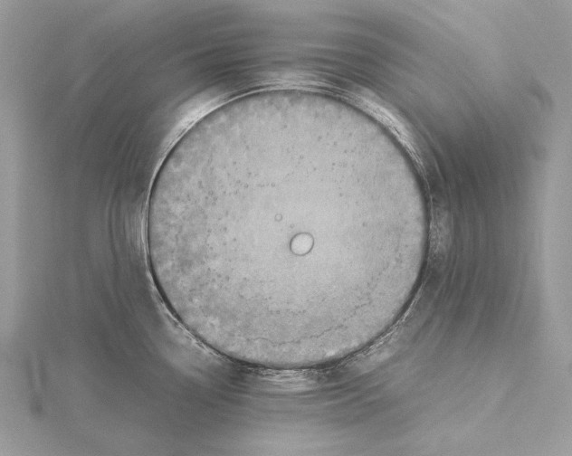 X0000115541338200912041003