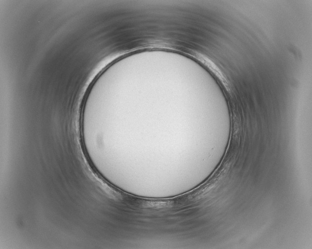 X0000115541339200912041003