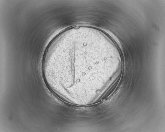 X0000115541341200912041003