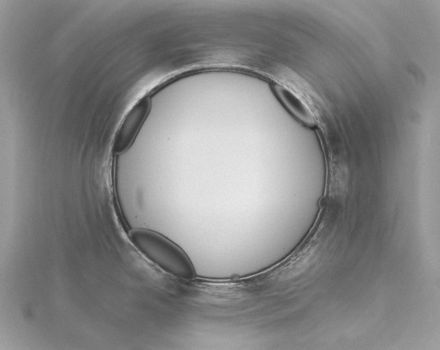 X0000115541342200912041003