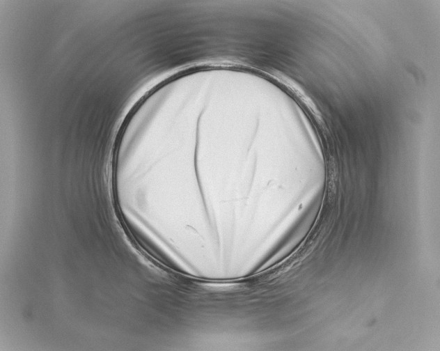 X0000115541343200912041003