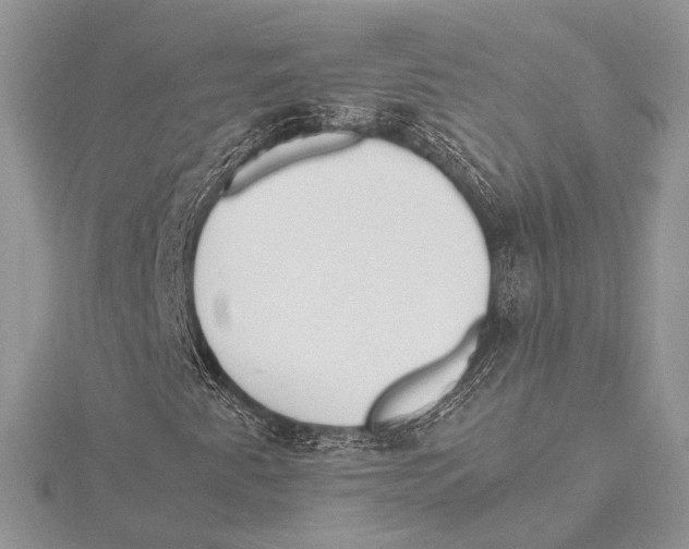 X0000115541345200912041002