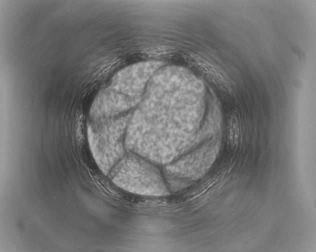 X0000115541346200912041002