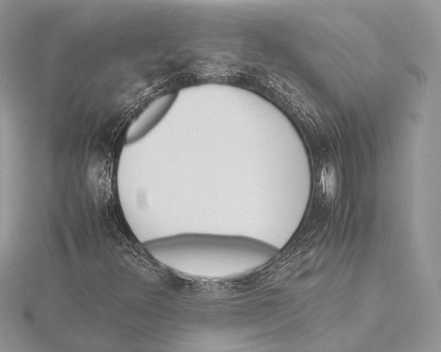 X0000115541348200912041002