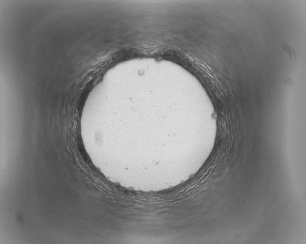 X0000115541349200912041002