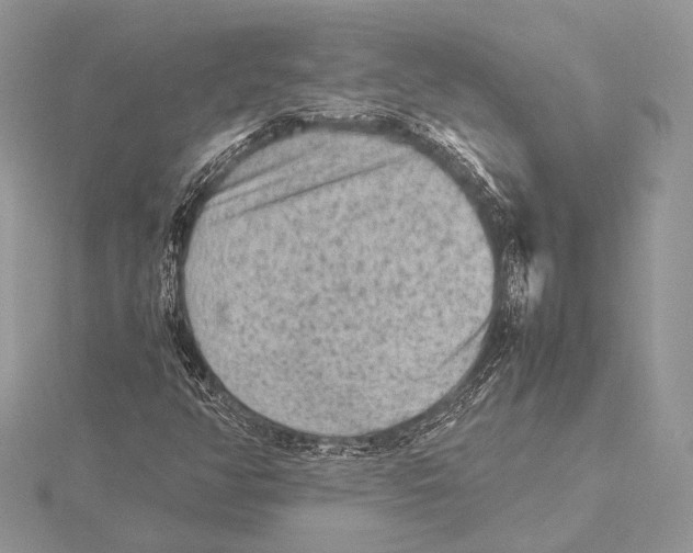 X0000115541350200912041002