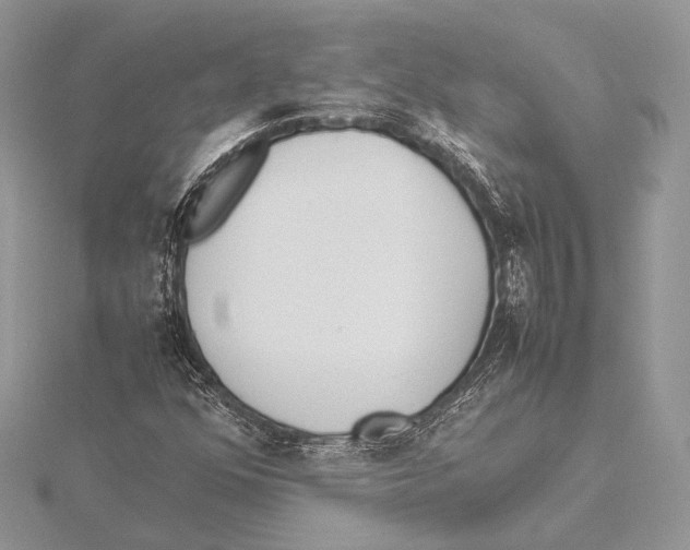 X0000115541352200912041002