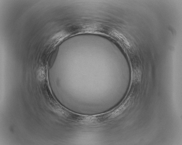 X0000115541353200912041002