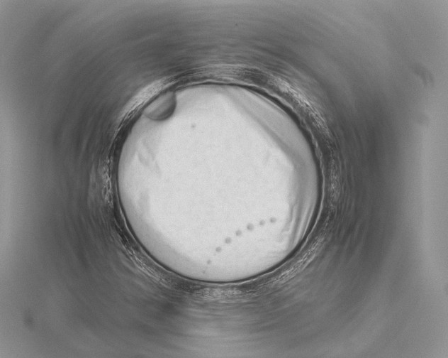 X0000115541354200912041002