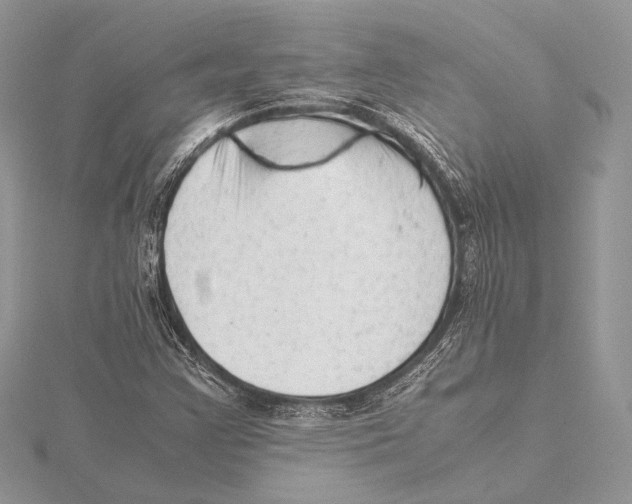 X0000115541355200912041002