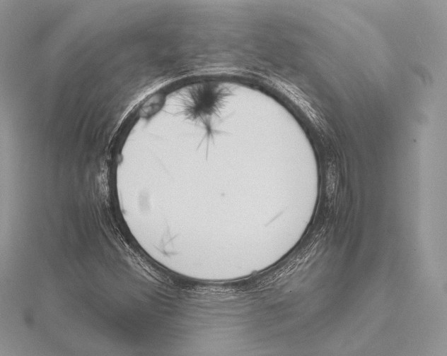 X0000115541356200912041002