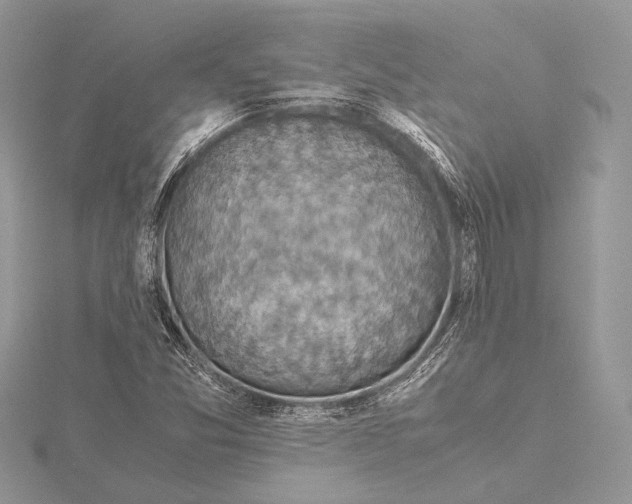 X0000115541357200912041002