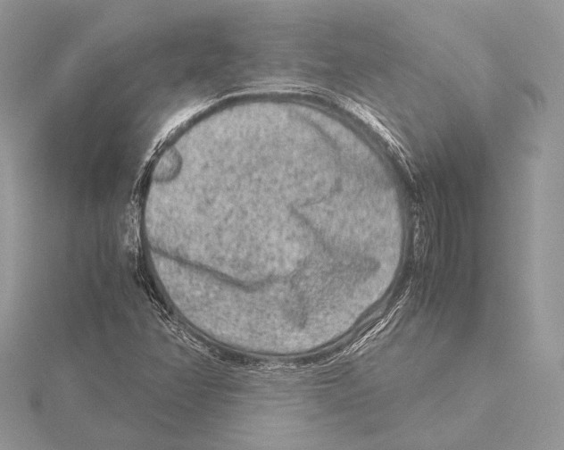 X0000115541358200912041002