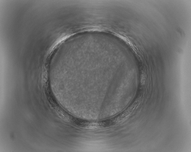 X0000115541359200912041002