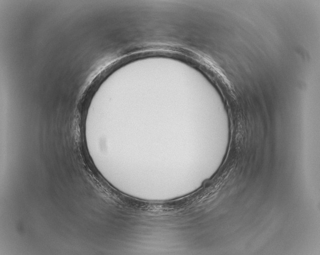 X0000115541360200912041002