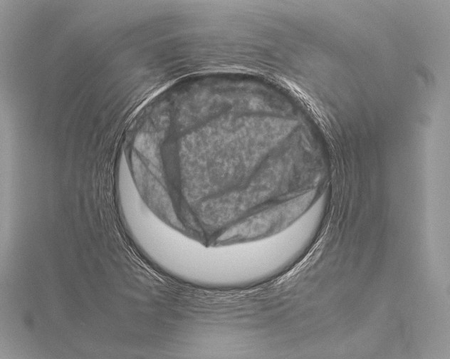 X0000115541361200912041002