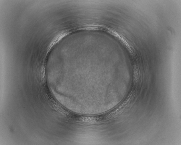 X0000115541362200912041002