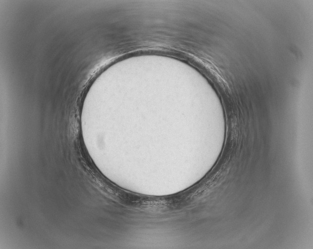 X0000115541363200912041002