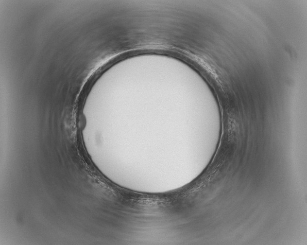 X0000115541364200912041002